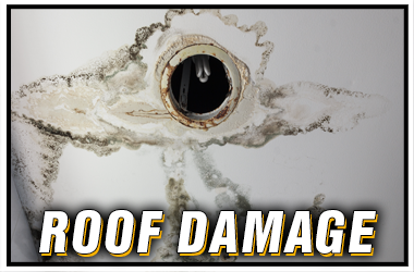 Philadelphia Claims Adjuster Roof Damage