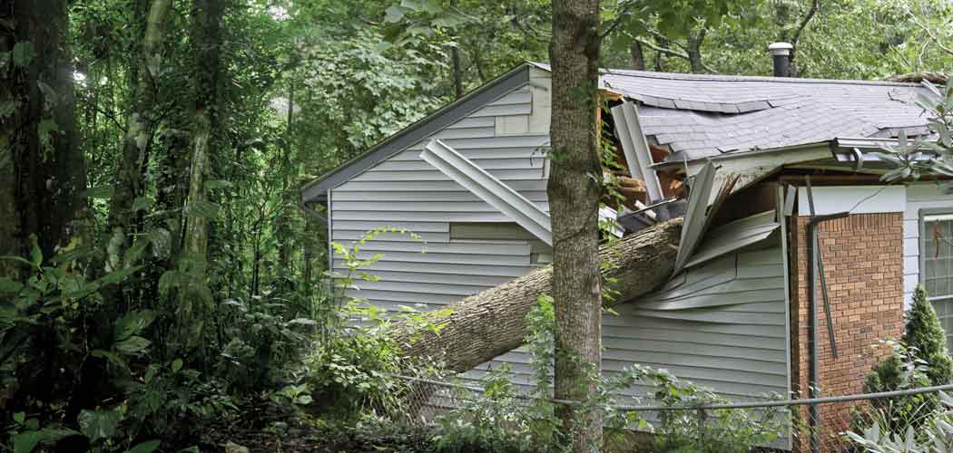 Philadelphia Claims Adjuster