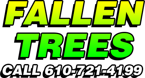 Philadelphia Claims Public Adjuster Paul Definis