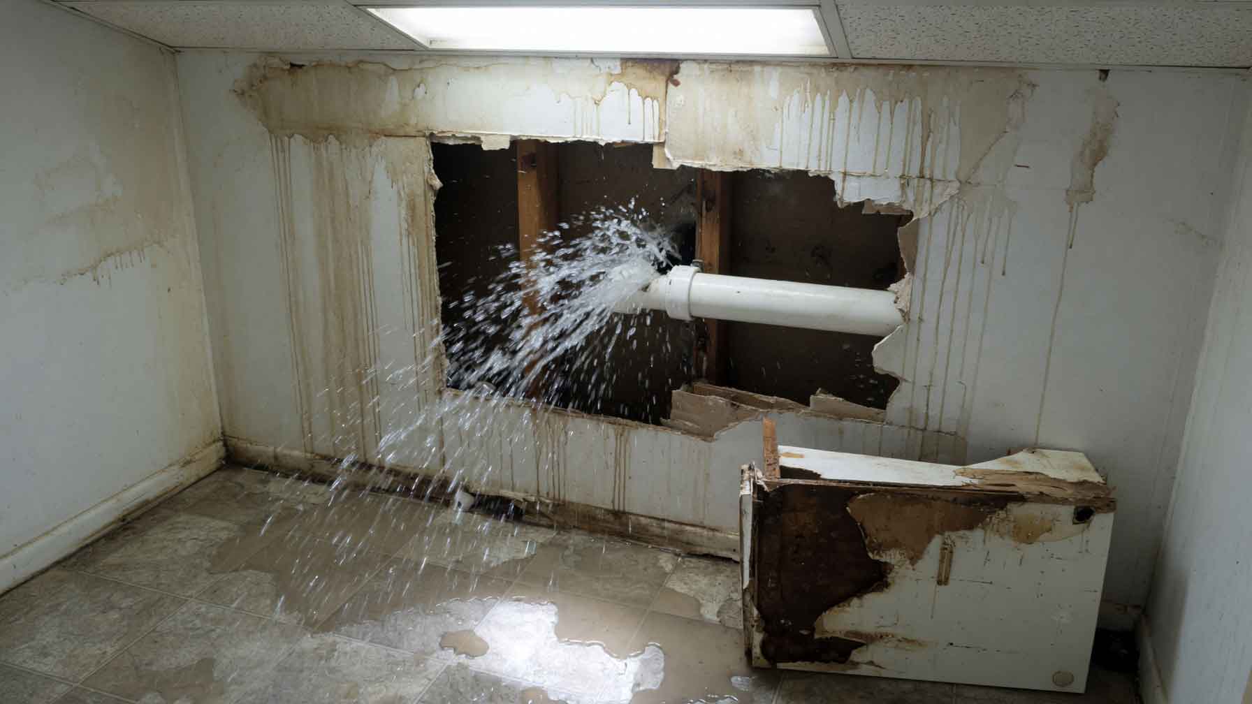 Fire Water Storm Damage Restoration Public Adjuster Doylestown Langhorne Newtown Yardley Bristol Bucks County Pennsylvania. Paul Definis assists homeowners and businesses with fire, water, storm, roof and disaster restoration insurance claims. Paul deploys restoration after your claim is approved. Call 610-721-4199.