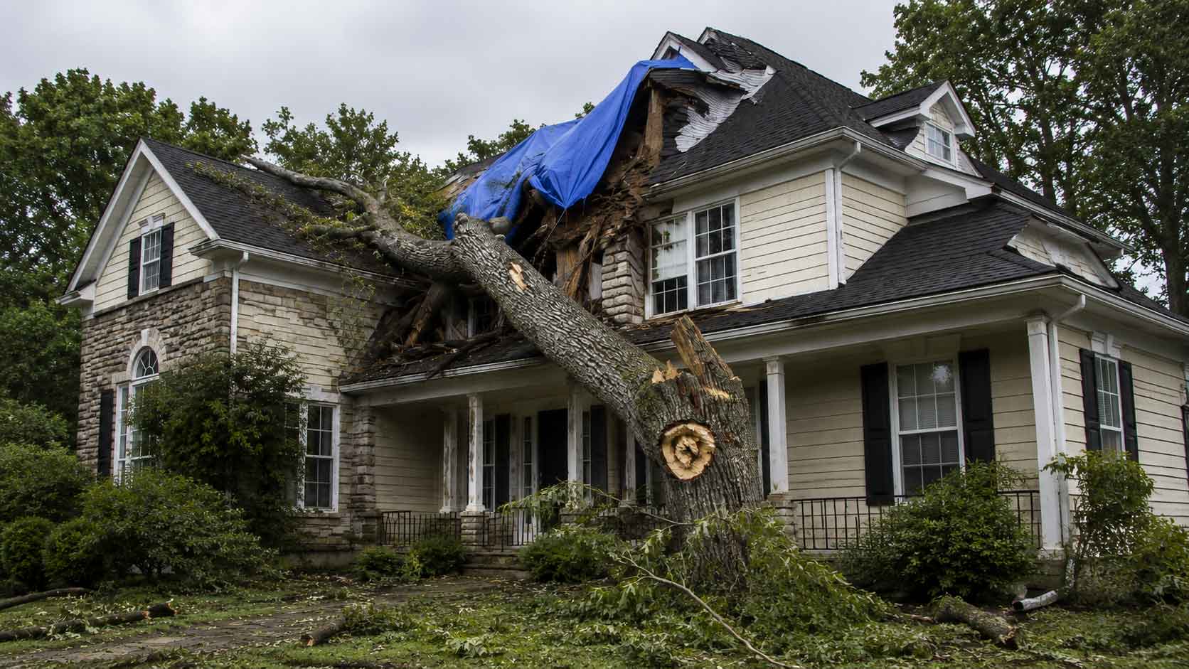 Roof Damage Insurance Claim Public Adjuster Levittown 19054 19055 19056 19057 Bucks County Paul Definis. Paul Definis assists homeowners and businesses with fire damage, smoke damage, water damage, roof damage, emergency board up and property insurance claims. Call 610-721-4199.